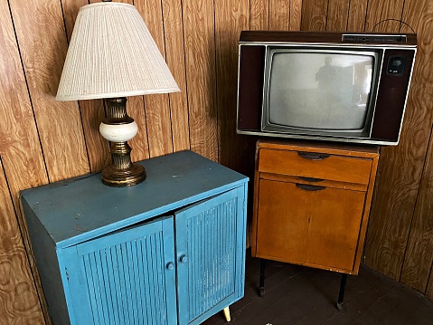 Vintage Looking Paneled Room with Television and Lamp