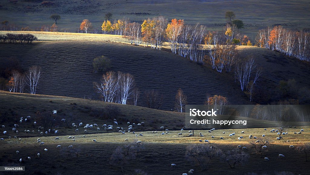 Paesaggio del nord della Cina - Foto stock royalty-free di Provincia dell'Hebei