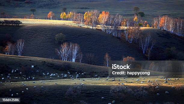 Paesaggio Del Nord Della Cina - Fotografie stock e altre immagini di Provincia dell'Hebei - Provincia dell'Hebei, Albero, Ambientazione esterna