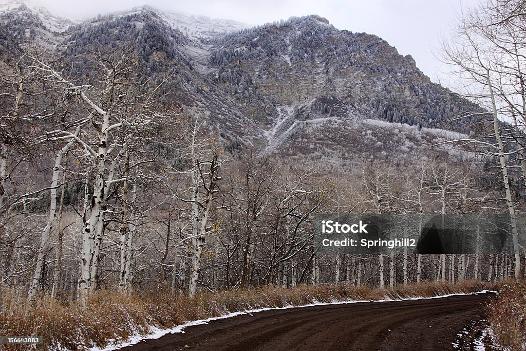 Estrada de montanha - Foto de stock de Bosque - Floresta royalty-free