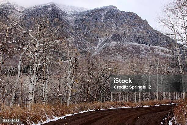 Foto de Estrada De Montanha e mais fotos de stock de Bosque - Floresta - Bosque - Floresta, Cordilheira, Estrada