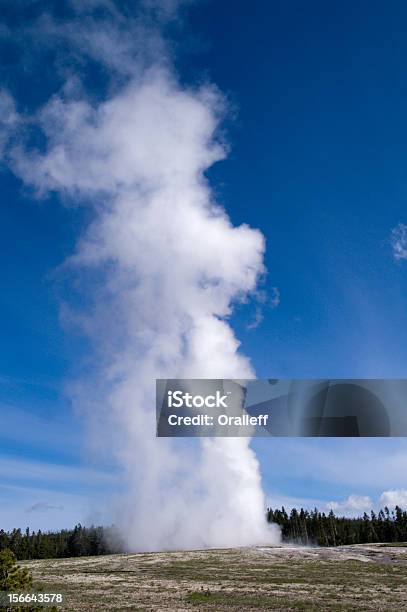 Old Faithfulgeysir Im Yellowstone National Park Stockfoto und mehr Bilder von Brodelnd - Brodelnd, Dampf, Eruption