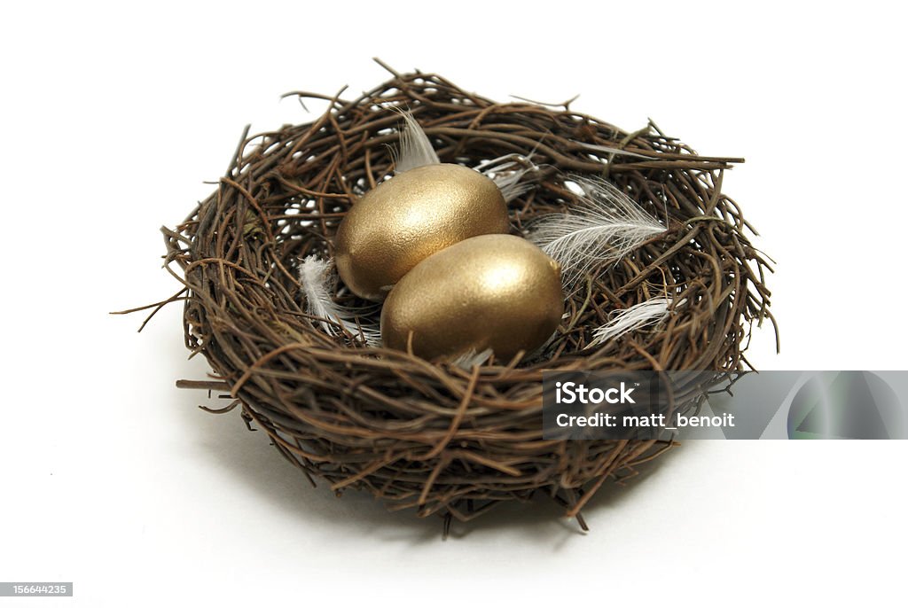 Gold bird s nest. Гнездо с золотыми яйцами. Гнездо рисунок. Картинки золотые яйца в гнезде. Корзина с золотыми яйцами.