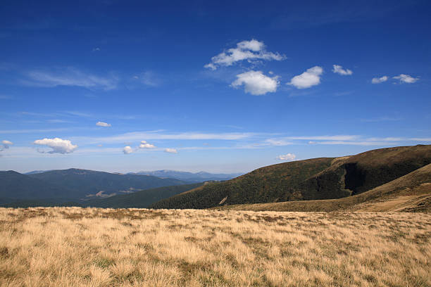 istock Beautiful views of the Carpathian Mountains 156644512
