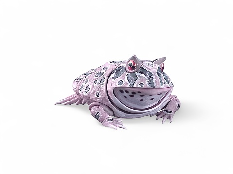 Miniature purple frog isolated on white
