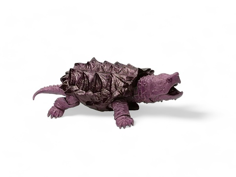 Snapping turtle with purple color miniature isolated on white