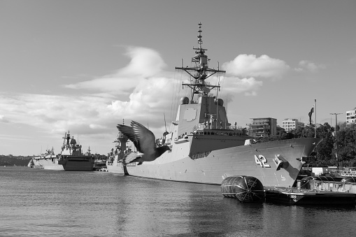 A pigeon flies across the image of warships docked at Garden Island in Sydney Harbour.  From the left is: USS Canberra (LCS 30) of the US Navy; HMAS Canberra (L02), of the Royal Australian Navy; ROKS Marado (LPH 6112 of the Republic of Korea Navy; and HMAS Supply (A195), HMAS Warramunga (FFH 152) and HMAS Sydney (DDG 42) of the Royal Australian Navy.  In the far distance is a patrol boat of the Australian Federal Police, providing security for the USS Canberra. This image was taken from Woolloomooloo Bay on a sunny afternoon on 22 July 2023.