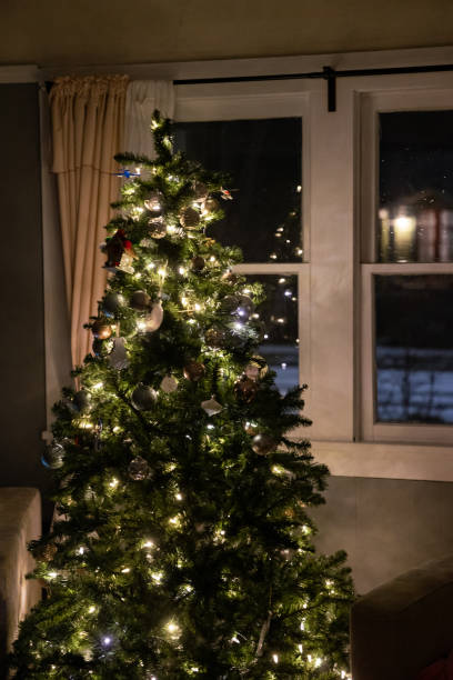 istock Beautiful Christmas ornaments on the tree 1566559218