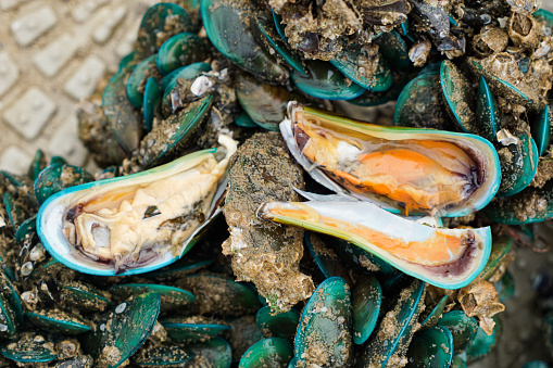 Opened fresh, male and female, mussels at a mussels farm, in selective focus.