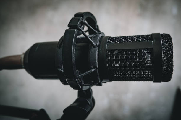 istock The object is a condenser mic for singing or recording, with a white background. 1566600391