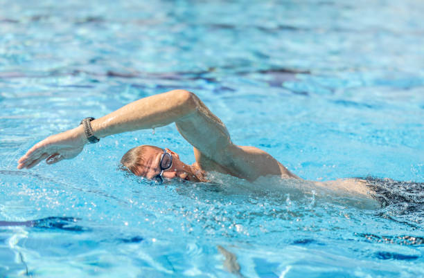 A male swimmer swims crawl in a swimming pool during training for a triathlon. stock photo