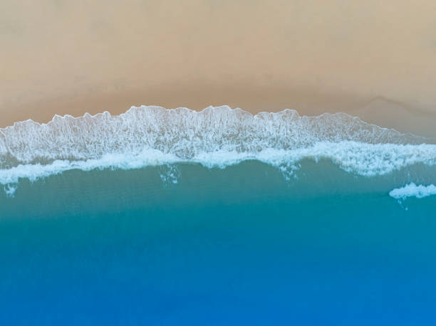 istock Beach Wave water in the Tropical summer beach with  sandy beach background 1566632801