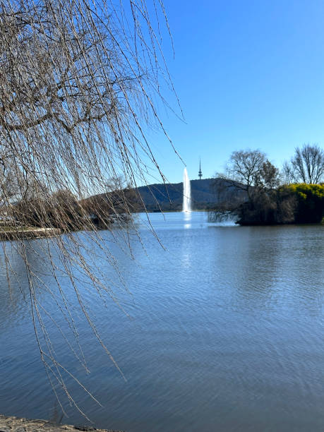 istock Small branches with buds with fountain in the lake 1566635733