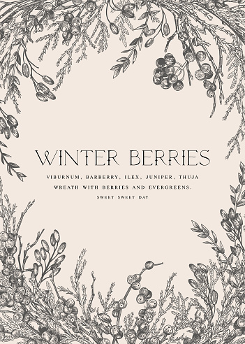 Vintage invitation card with branches and berries. Vector botanical illustration. Floral Christmas frame. Black and white.