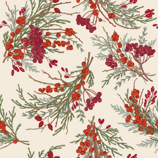 Seamless pattern with winter berry Seamless pattern with winter berry bouquets. Juniper, boxwood, viburnum, holly, holi, barberry. Botanical illustration. Vector. wallpaper sample stock illustrations