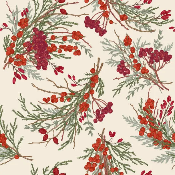 Vector illustration of Seamless pattern with winter berry