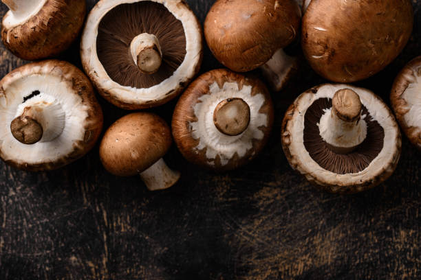 istock Raw champignon mushrooms on black background 1566686734