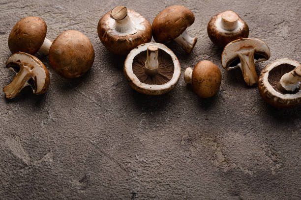 istock Raw champignon mushrooms on black background 1566686932
