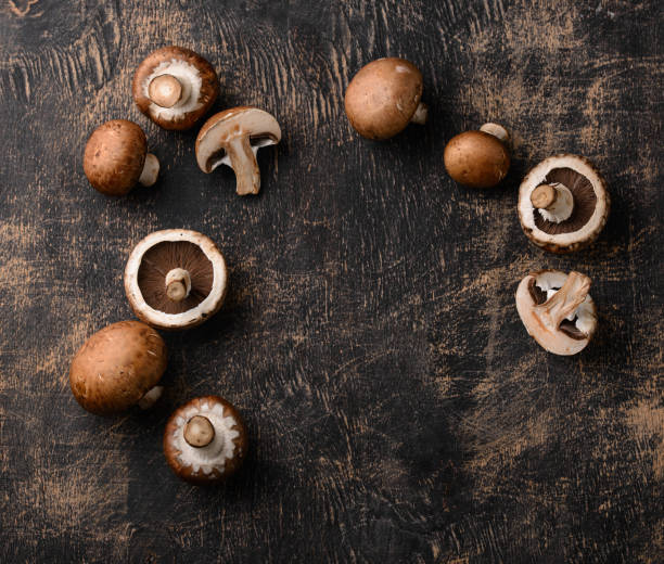 istock Raw champignon mushrooms on black background 1566686946