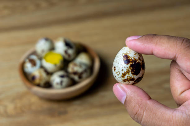 istock quail eggs in wooden bowl. 1566687494