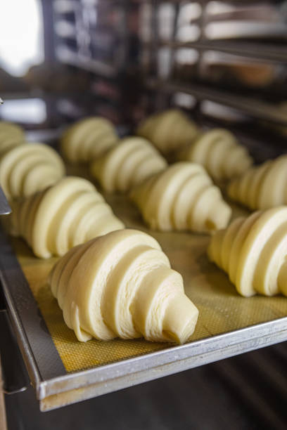 istock Bake proofed croissant dough on sheet 1566702043