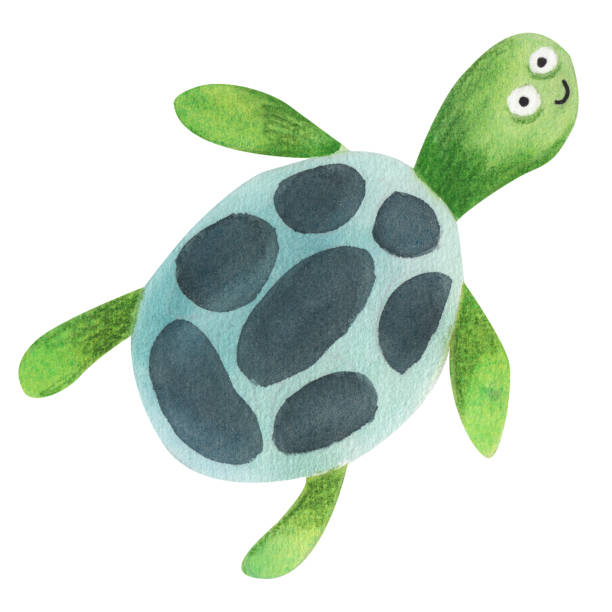 istock Sea turtle. Watercolor illustration in cartoon style. 1566715183