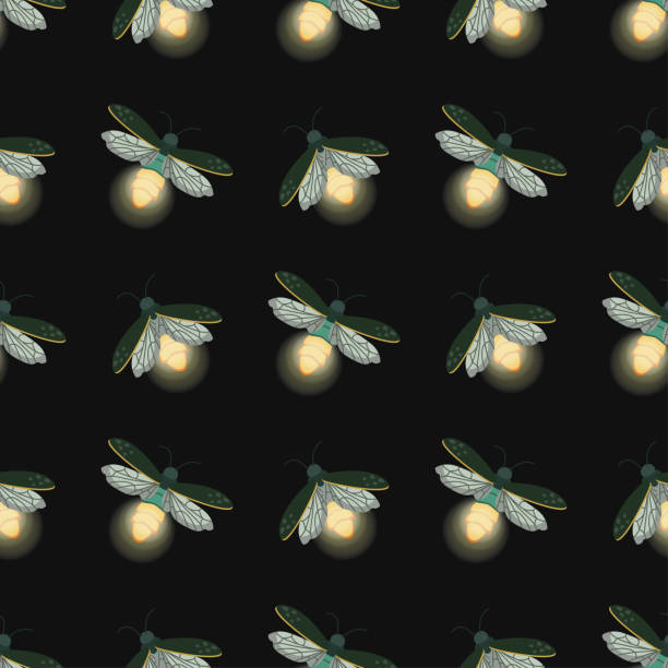 Firefly Texture Color 460+ Firefly Clipart Stock Illustrations, Royalty-Free Vector Graphics ...