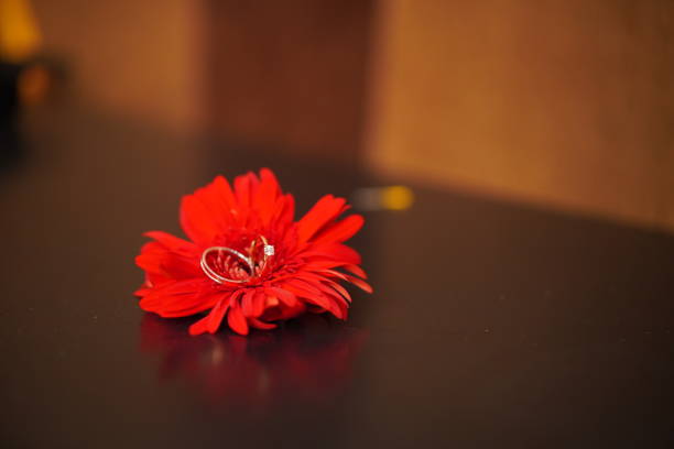 Engagement rings  in red flower