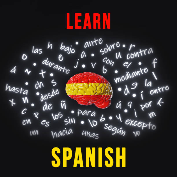 Learn Spanish Foreign language Human brain Spain flag color Website banner Letters articles word preposition vocabulary grammar 3d rendering. Studying Online course education Listening Reading Fluency