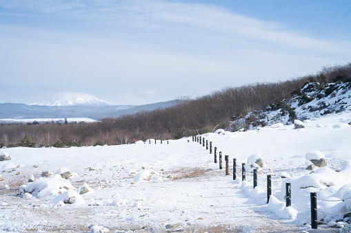 Winter Landscape of Japan. Snowfall Landscape