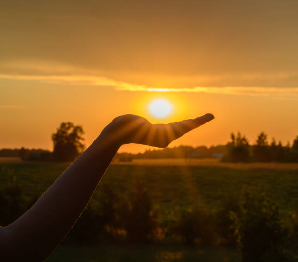 istock Sunset, hand holding the sun, beautiful view 1566763965
