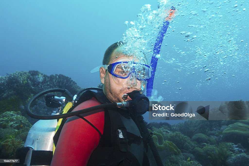 Scuba diver - Zbiór zdjęć royalty-free (Celebes Sea)