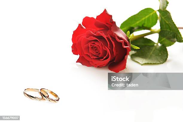 Hochzeitbands Stockfoto und mehr Bilder von Blütenblatt - Blütenblatt, Dekoration, Ehering