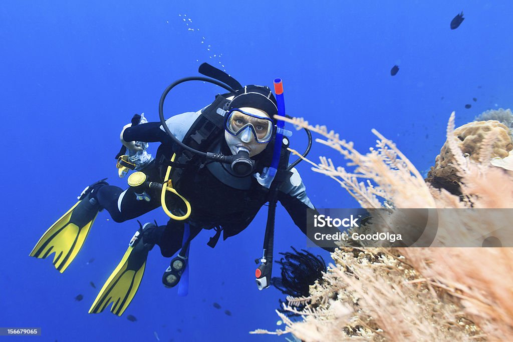 Buceador buceo - Foto de stock de Actividad libre de derechos