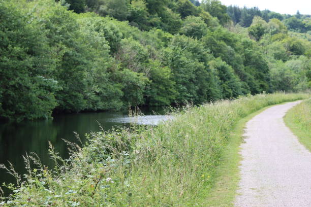 istock Countryside canal towpath in summer 1566791076