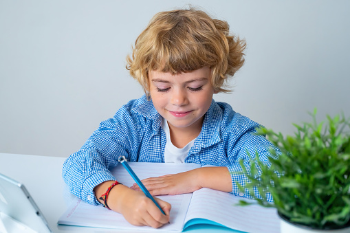 Elementary school smiling boy girl sitting at desk, studying writing book and tablet at class home looking at camera. Copy space for advertising blank concept. Back to school. Childhood, education, products for children