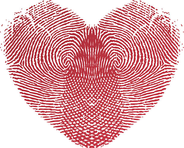 Fingerprint Love Heart vector art illustration
