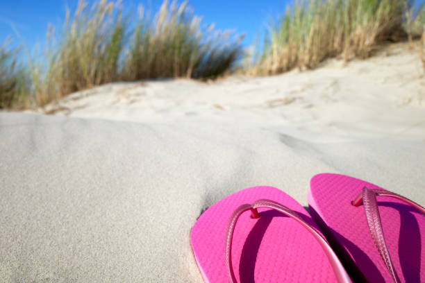 istock Pink flipflops at the beach 1566823785