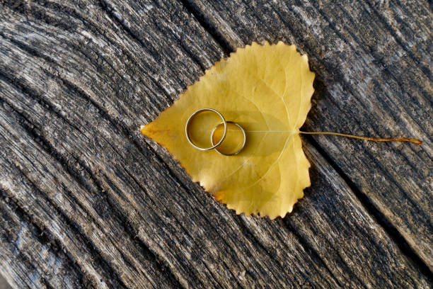 Autumn wedding invitation with wedding rings on leaf with copy space