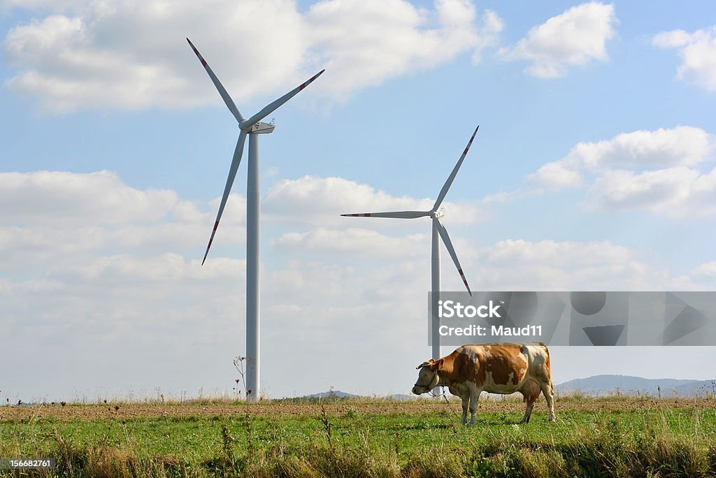 Kuh und wind turbine - Lizenzfrei Agrarbetrieb Stock-Foto