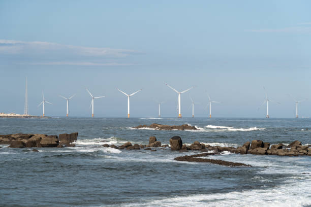 istock Offshore wind farms, clean energy 1566836898