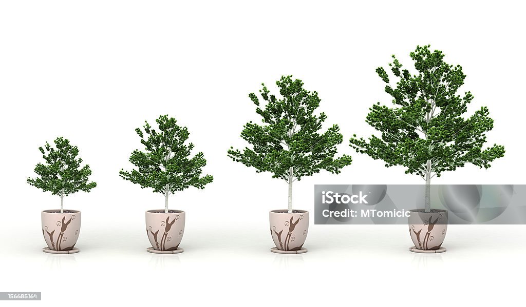 Creciente planta, Aislado en blanco - Foto de stock de Blanco - Color libre de derechos