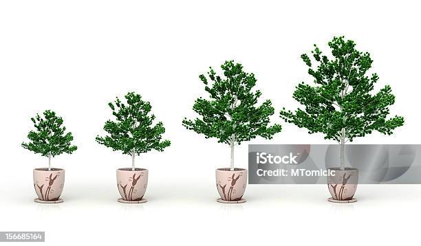 成長植物白で分離 - カットアウトのストックフォトや画像を多数ご用意 - カットアウト, 上がる, 体を伸ばす