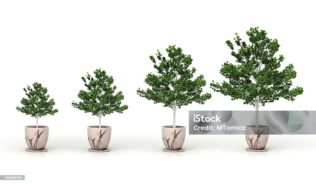 Cultivo de plantas, isolada no branco " - Foto de stock de Aprimoramento royalty-free