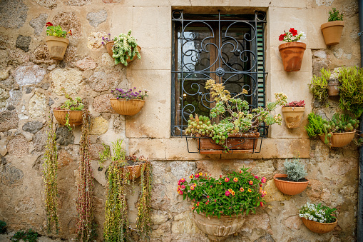 Beautiful wall with flower pots on a traditional house in small village Valldemossa, Mallorca, Spain