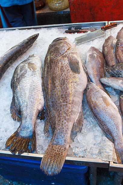 istock Fresh Fish at Seafood Market 156686251