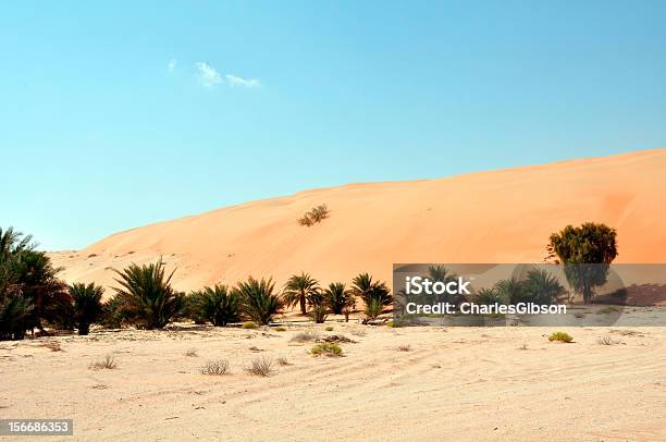 Liwasanddünen Stockfoto und mehr Bilder von Ausgedörrt - Ausgedörrt, Fotografie, Horizontal