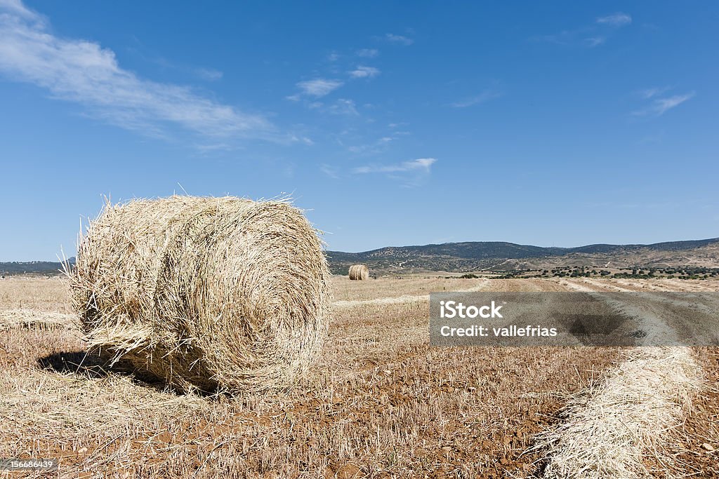 Fardo - Royalty-free Agricultura Foto de stock