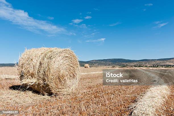 Foto de Bale e mais fotos de stock de Agricultura - Agricultura, Amarelo, Azul