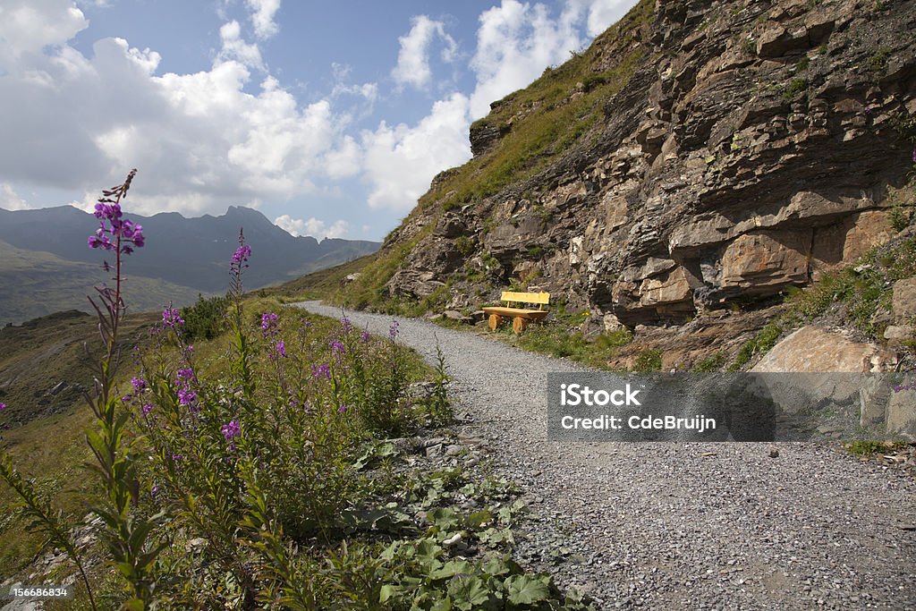 Percorso per escursioni in montagna in Svizzera - Foto stock royalty-free di Alpi